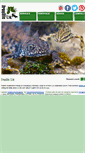 Mobile Screenshot of froglifeltd.co.uk